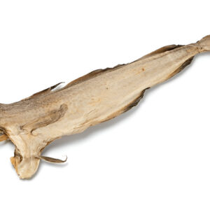 stockfish (okporoko)
