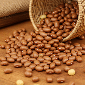 nigerian beans (oloyin / brown beans)