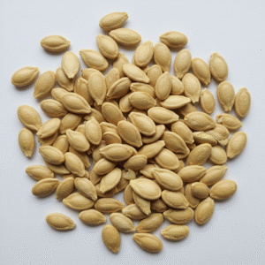 cashew butter